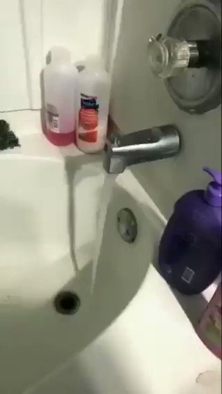 Reflejo condicionado: este perito comienza a nadar cuando escucha correr el agua del grifo. : ¿?