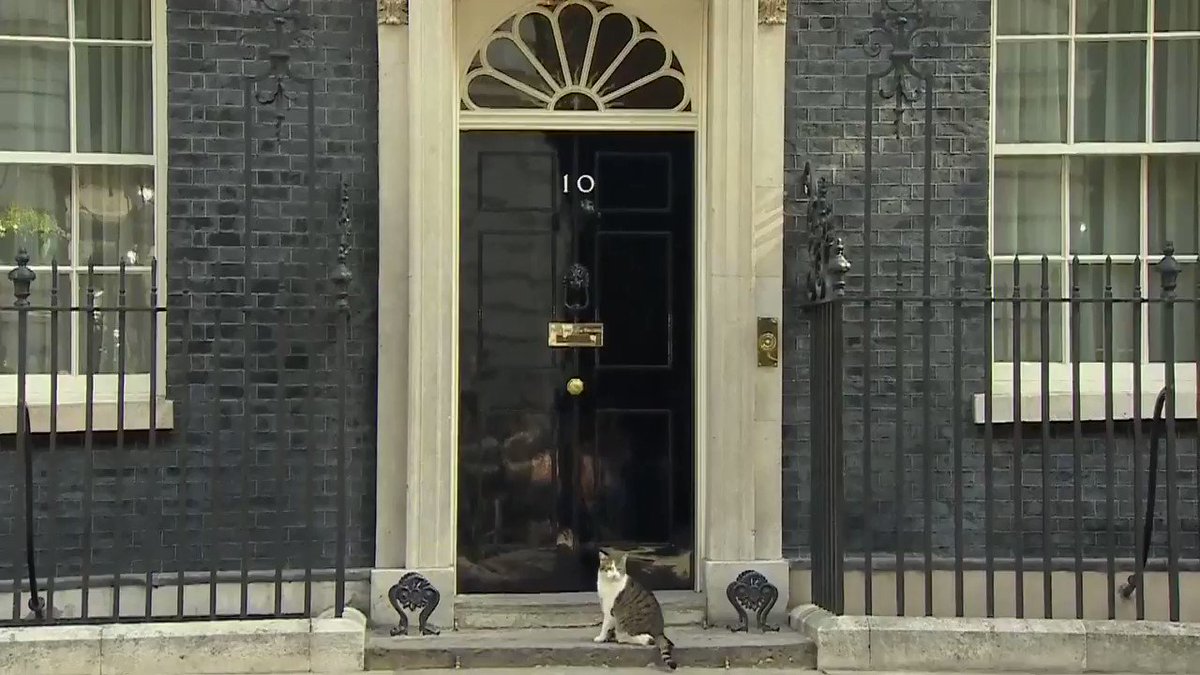 TicToc by Bloomberg's photo on 10 Downing Street