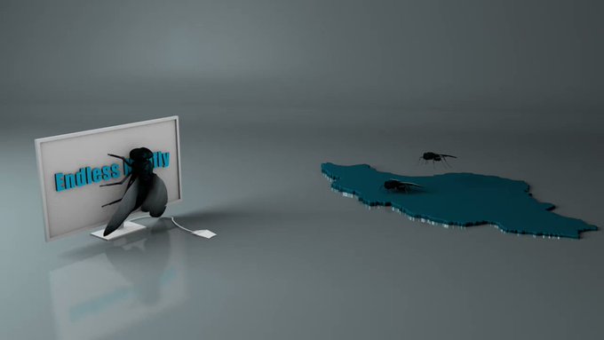 Embedded video