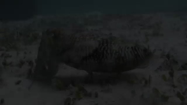 OceanFirstInst photo