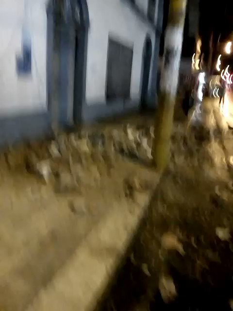 Video insertado