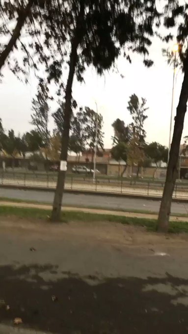Embedded video