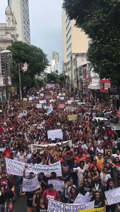 Vídeo incorporado