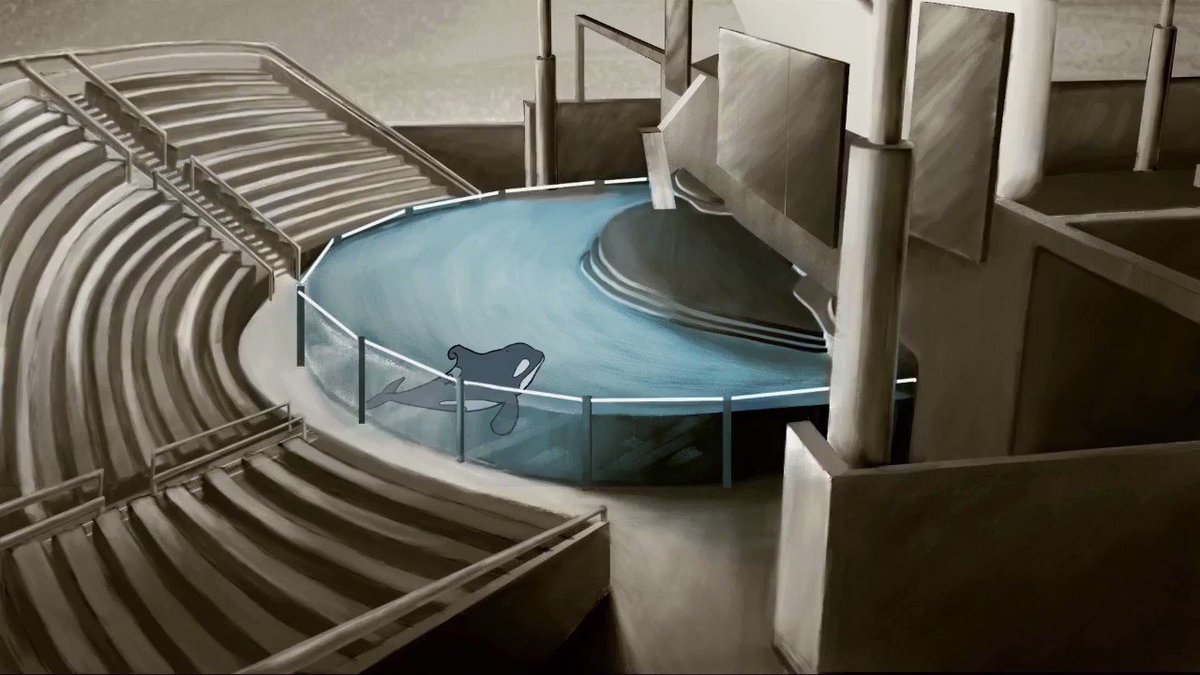 The Orca Awareness Project is a minute long animated PSA - Orcas don't belong in captivity! This animation was created by Joey Cheers, Teon Simmons, & Fishy Thom: https://bit.ly/2W5QwJl
#DolphinProject #OrcaAwarenessProject #EndOrcaCaptivity #KillerWhale #Orca #Artivism