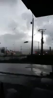 Video insertado