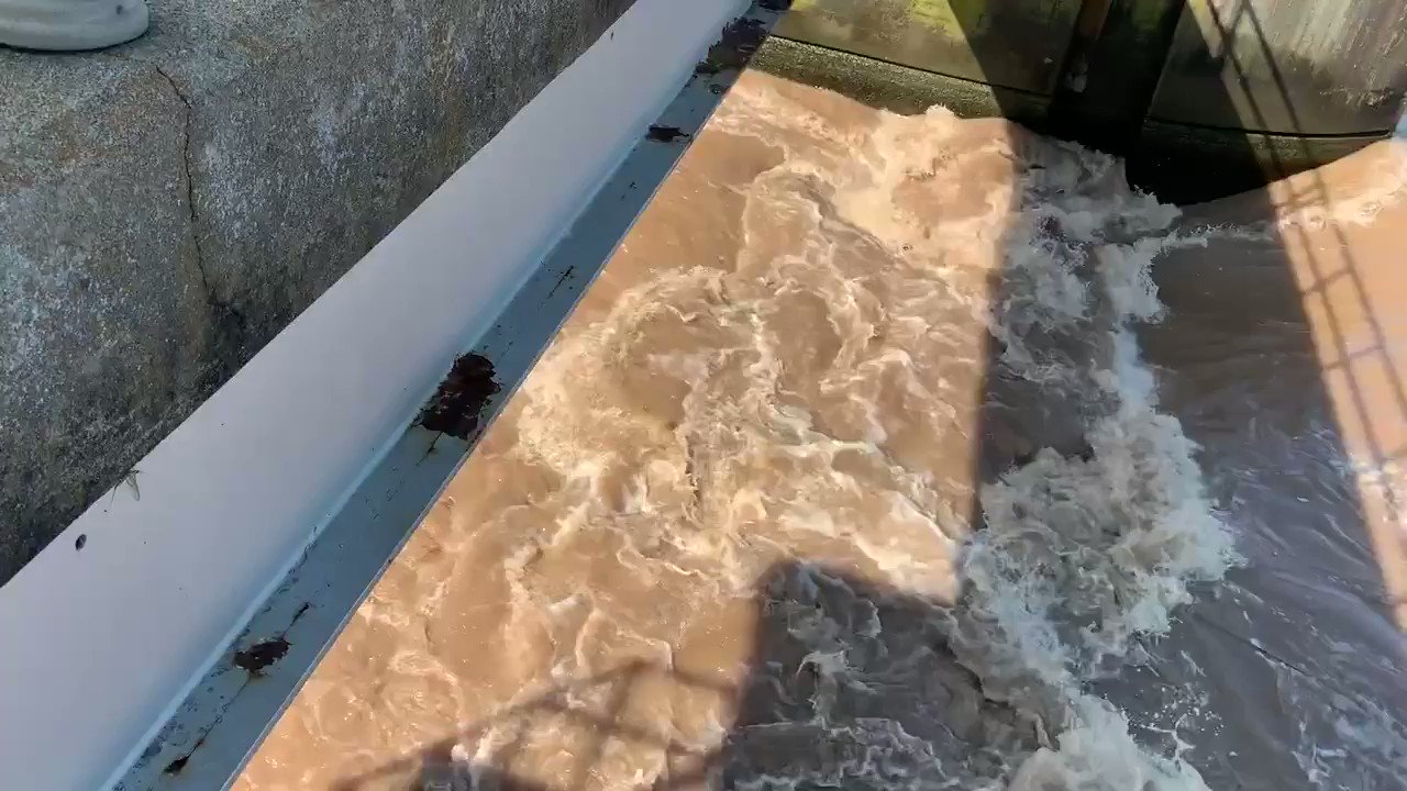 Vanessa Moody Vanessa Moody Twitter