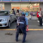 カモの親子のお通りです!機動隊の車が止まっていて事件かと思ったら、ある意味事件が起こっていたと話題に!