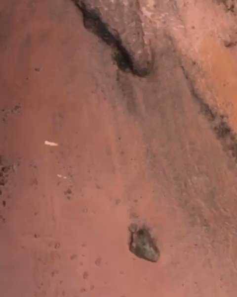Vídeo incorporado