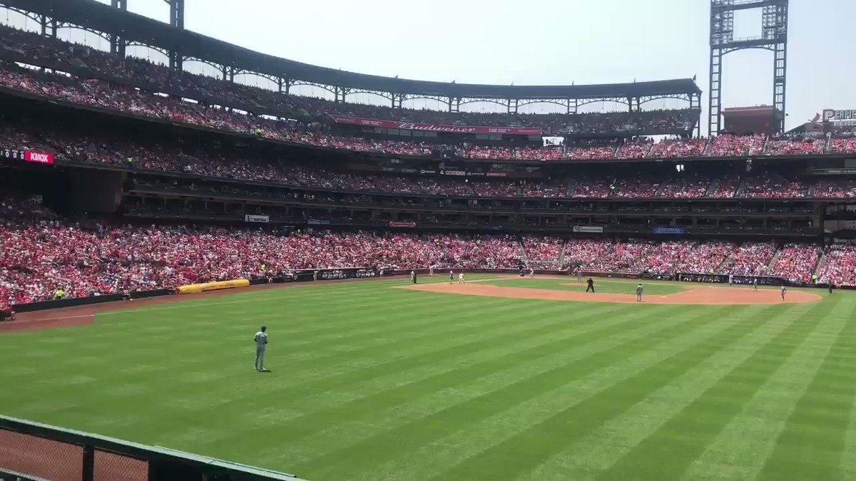 Standing ovation and much applause for @A_Knizner first MLB at bat. @Cardinals fans indeed are the best fans in baseball! Welcome to the Majors! @allyrahn ❤️🙌🏽🙌🏽🙌🏽🙌🏽