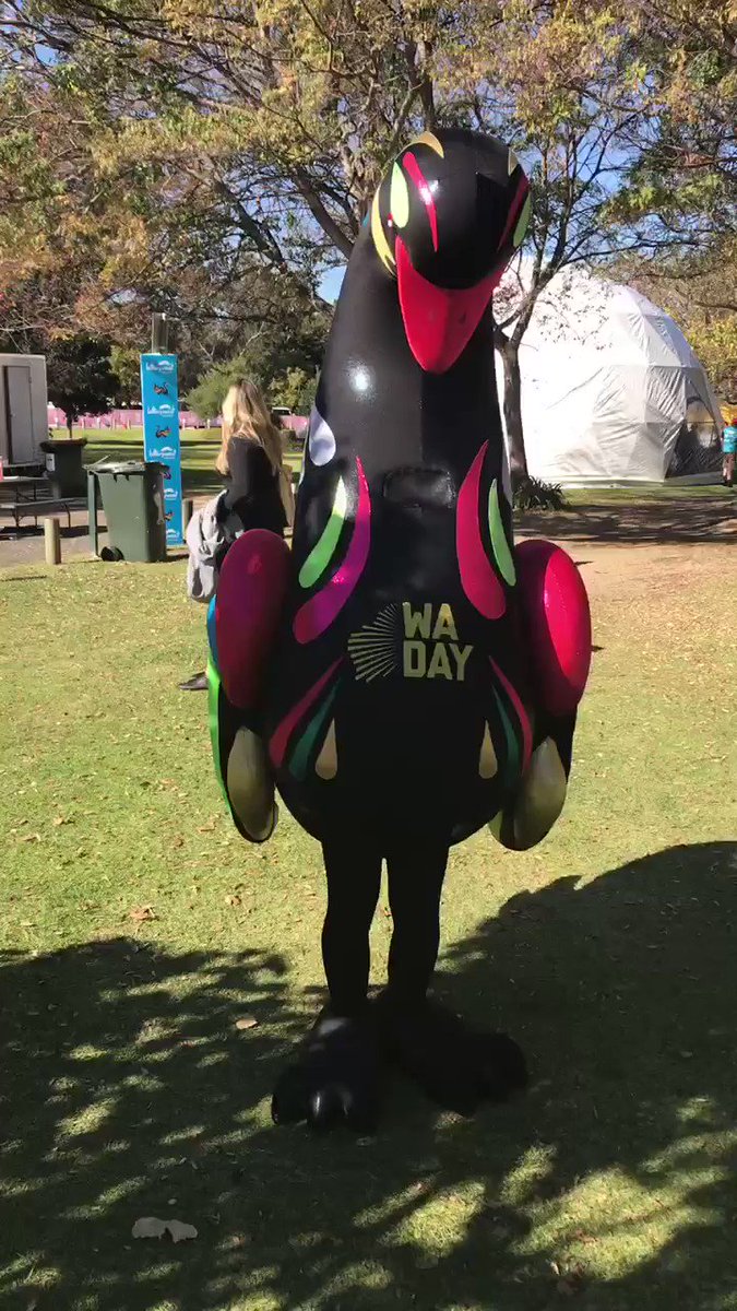 Pre-Mascot Race pics: Wally the WA Swan is the mascot of the @wadayfestival and there are a few of them and I got pics with all of them
https://youtu.be/PWhRBQhpaB8
#WADay #WADay2019 #wadayfestival #perth #burswood #burswoodpark #westernaustralia #wa #mascot #swanmascot #mascotlife