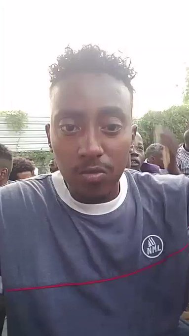 Embedded video