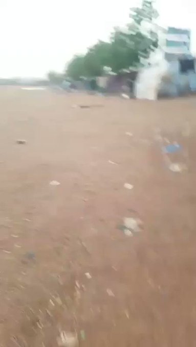 Embedded video