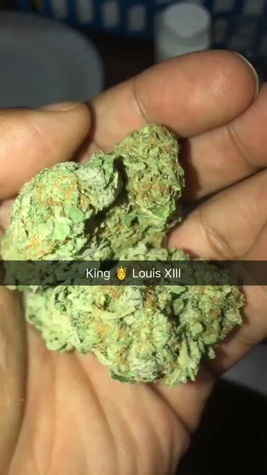 Oh y’all know I keep the gas on me! King 🤴 Louis XIII ⛽️! #stoner #stonernation #kingpalm #weedporn #gas