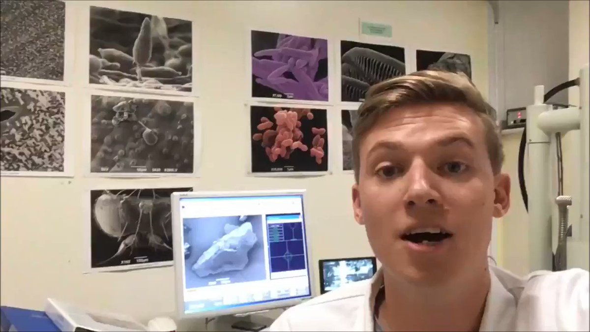 .@Steve_D_Burrows is completing his PhD at Exeter in partnership with @UQ_sees. He is looking at the impacts of plastics and their distribution.
Support the @ExeterMarine Fund at https://exeter.hubbub.net/p/marineresearch/ …
#WorldOceansDay #ExeterMarine #TogetherWeCan🌊