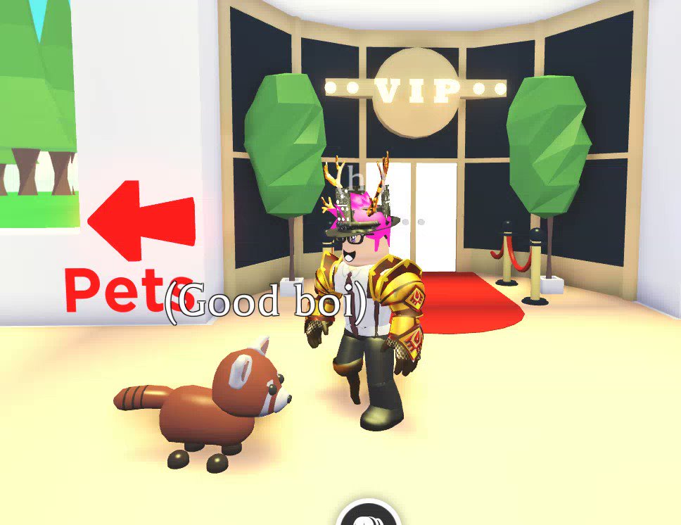 newfissy pet glitch