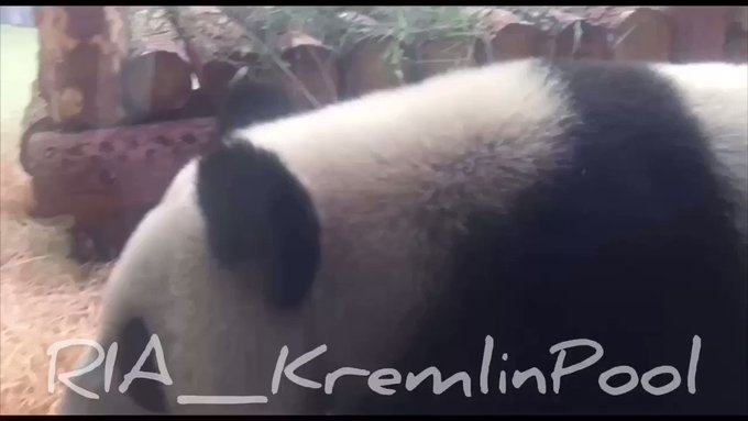 Встроенное видео