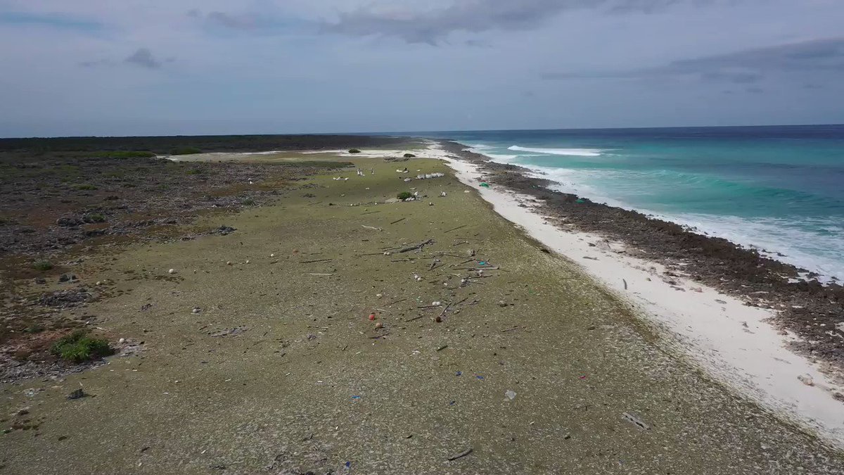 This #WorldEnvironmentDay, we've got exciting news! Today is officially 1 year since @AldabraCleanUp launched in Seychelles and we're sharing the trailer for our upcoming documentary which will come out this summer - watch this space for more info!