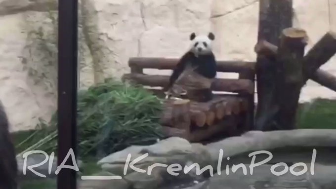 Встроенное видео