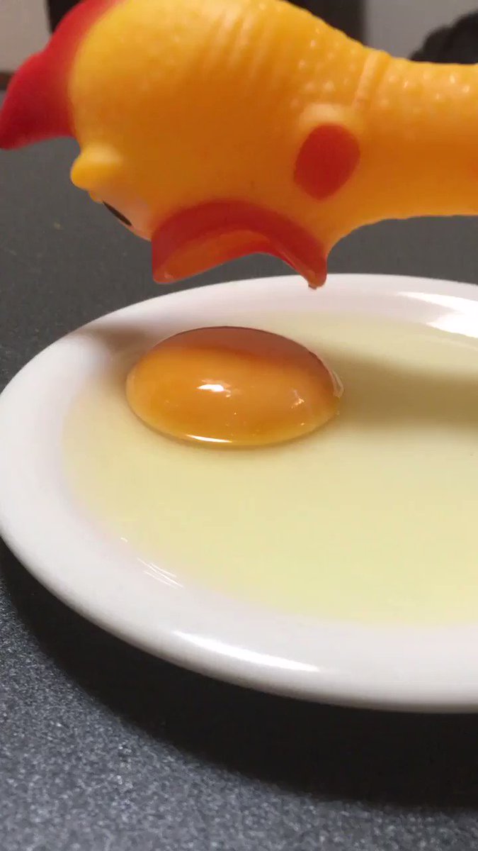 鶏が黄身と白身を分けるのに失敗しちゃった 話題の画像プラス