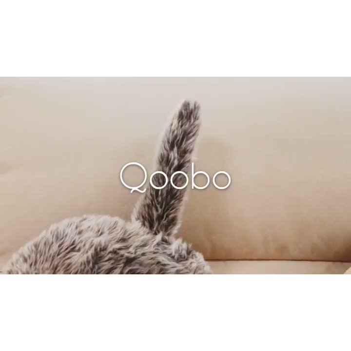 \New❗️撫でるとしっぽをフリフリ~/
この子をナデナデすると、しっぽをフリフリ~☝🏻⁾⁾
しかも撫で方でしっぽの振り方が変わるんです😳😳😳
ぜひ店頭でお試しください!
#sakoda #サコダ
#クーボ #Qoobo
#しっぽ型クッション