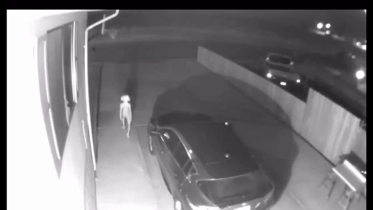 a lady posted this and said she saw this on her home camera this morning. what yāall think this is ?