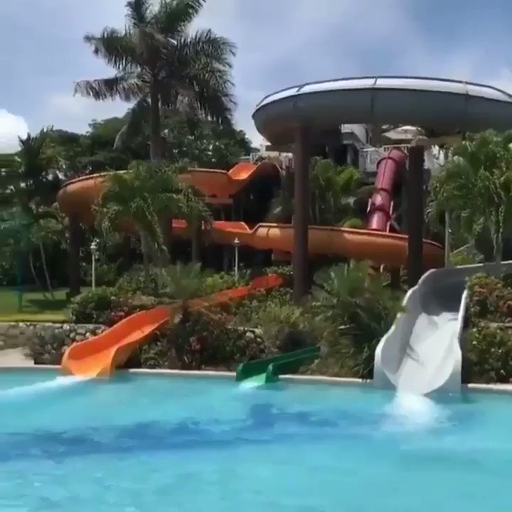 Slide into. Sliding into. Ppg sliding into a box. Sliding into. Утка скользит.