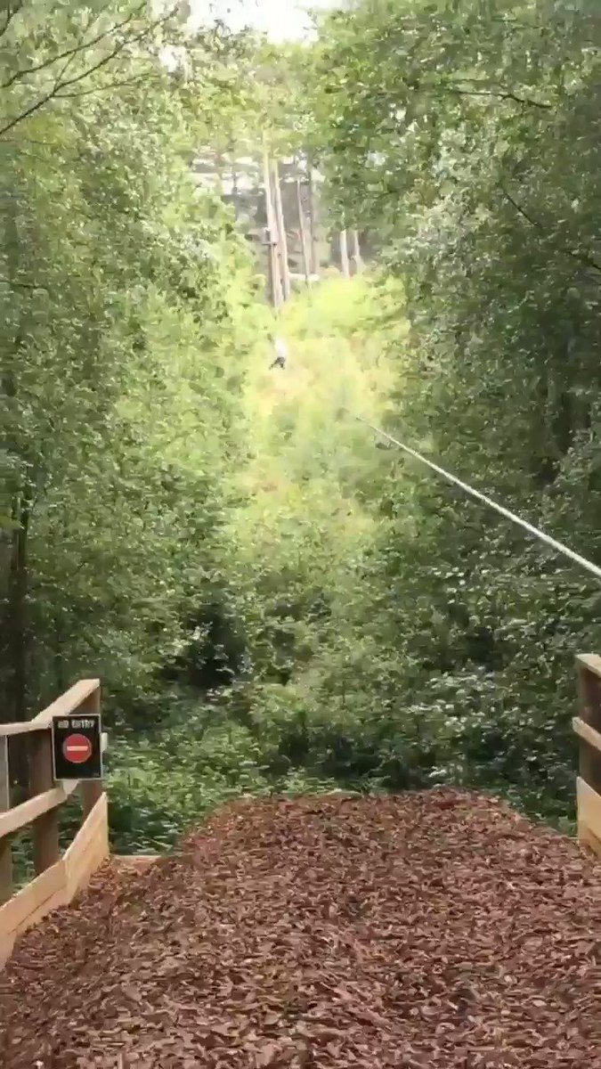 So an epic fail from me... But an awesome time @Cannock_Chase. #GoApe #CannockChase #run #EpicFail #badlanding #sorebottom
