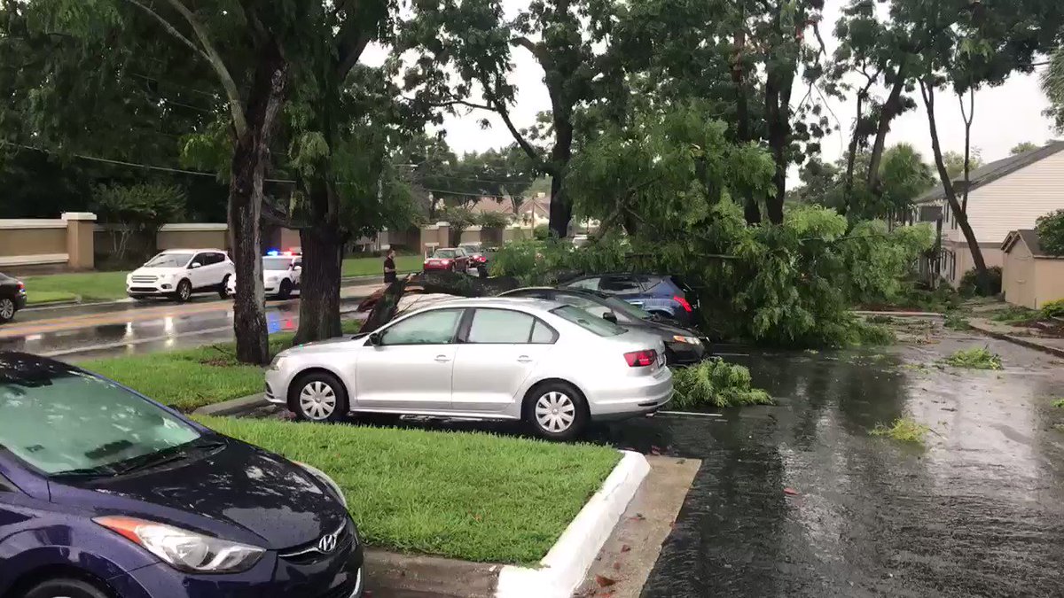 #BreakingNews
Traffic signals are out in Seminole county in some neighborhoods near the spot where this tree fell on to of two cars. @WESH