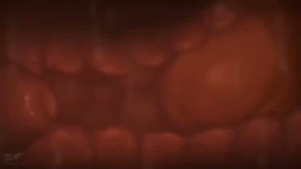 Twitter Image