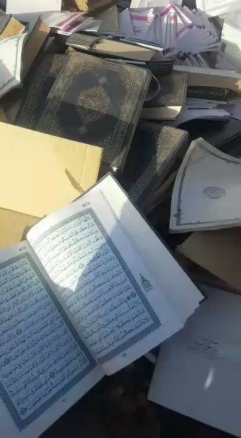 Embedded video