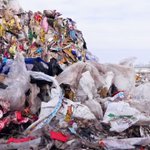 ゲームのイラストに隠された暗号 ズリンチコード Togetter