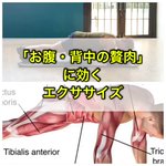 中年太りで出てきたお腹を解消したいときはこの筋トレ！