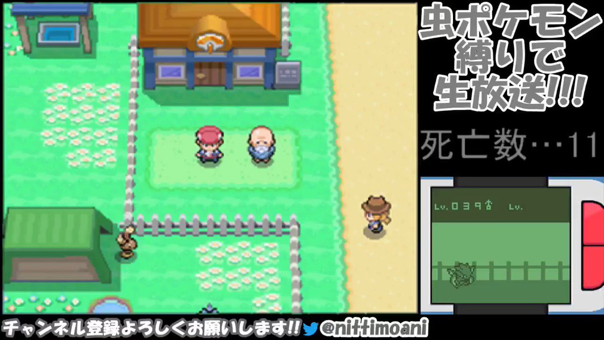 ニッチモ Mhwib中毒気味 Auf Twitter ポケモンプラチナやってて楽しいのは やっぱりレベル上げと進化 育てや屋さんに預けといて 本当によかった でも 初期技しか覚えてないビークインlv40って何に使うんだろうw 今後は みちづれ 覚えさせて自爆要員に