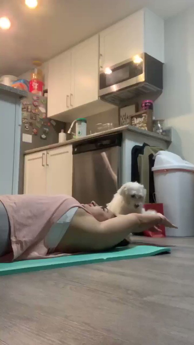 My dog likes to give me high fives every time I come back down from doing a sit up and it actually motivates me to keep going lol
