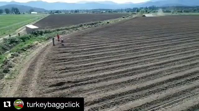 So much game being soaked up l!! HEMP 2019!! #hemp #hempgrowers #grow #oregon #oregongrowers #california #cannabiscommunity #successfulgrowing #hempseeds #hempflower #hempoil #hempclothing #hempgru #hempgarden #lovetreesofficial #performancepowders #lovetreescali