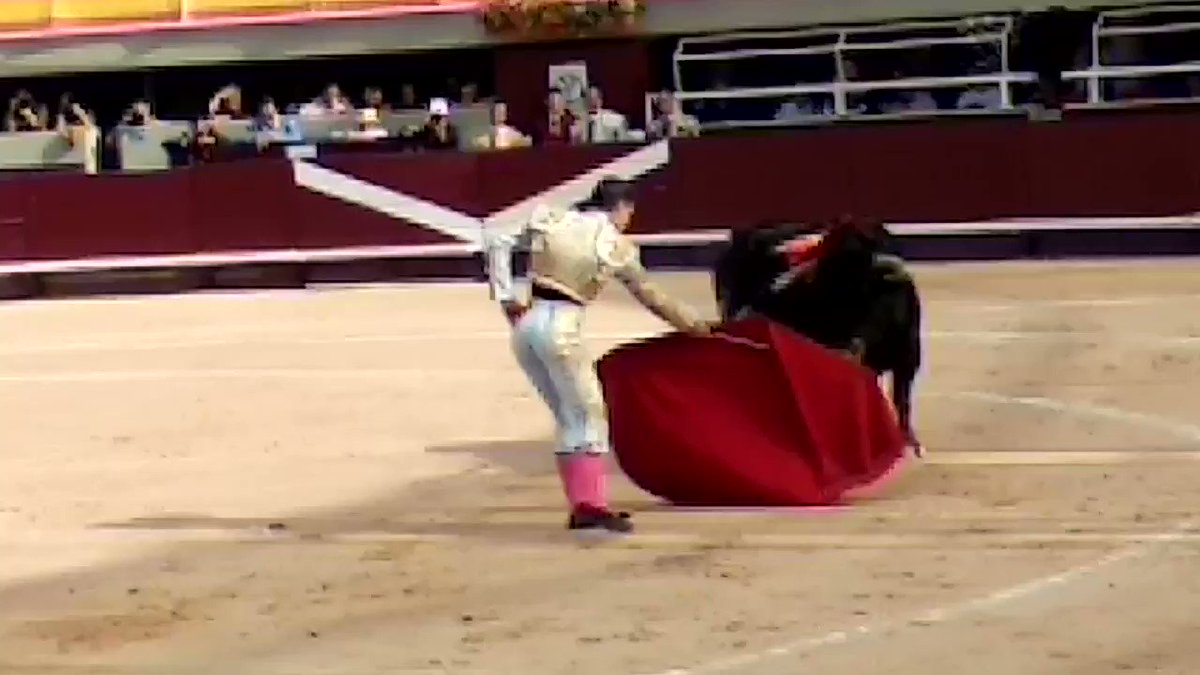 Momentos de la actuación de @adriensalenc en el toro de su alternativa en Istres donde ha cortado una oreja @germanjimenezan