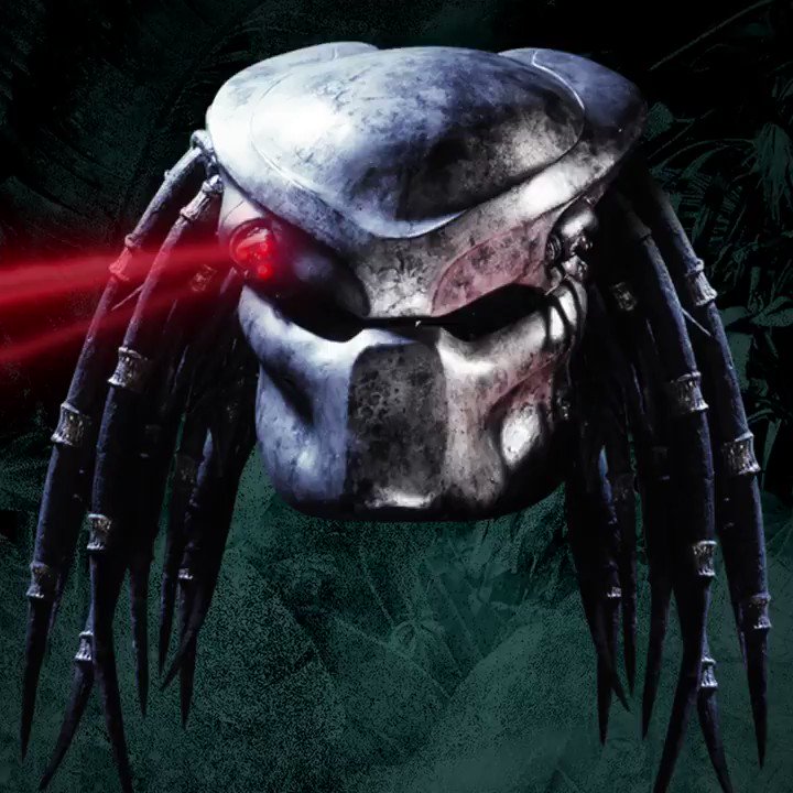 Predator on Twitter: Predator on Twitter: