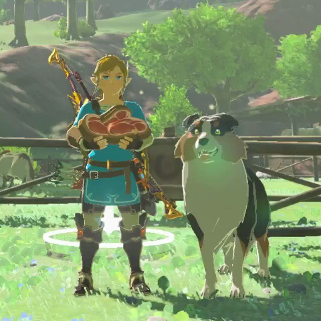 Link Tank: Will Breath of the Wild 2 Let You Pet Dogs?