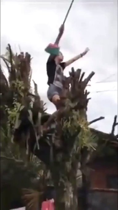 Video insertado