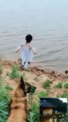 Встроенное видео