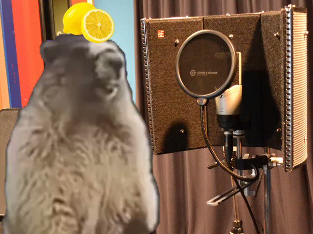 ちゃちゃはらさん の人気ツイート 1 Whotwi グラフィカルtwitter分析 ちゃちゃはらさん の人気ツイート 1 Whotwi グラフィカルtwitter分析