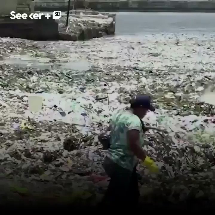 It’s horrible!!! #Plastic waves!!!
We have to fight against this harmful #singleuseplastic and appeal 2 ban it immediately to #saveourplanet & #marinelife. Also every state should improve #recycling & #waste-reduction system() to beat the #plasticpollution #cc