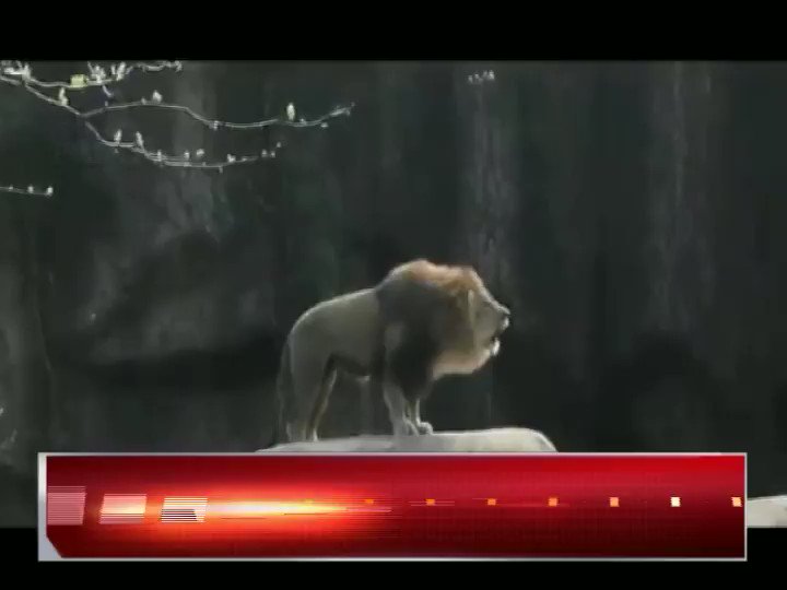 دیکھو دیکھو کون آیا ۔۔بلاول بھٹو آیا ،بلاول بھٹو آیا ۔۔اینکر پرسن منصور علی خان کا بلاول بھٹو اور مریم نواز کی ملاقات پر تبصرہ ۔۔@_Mansoor_Ali
Subscribe for Latest videos & updates
👇👇👇👇👇
https://www.youtube.com/channel/UClDtMswg3muouH60XTKlVEw?view_as=subscriber …
