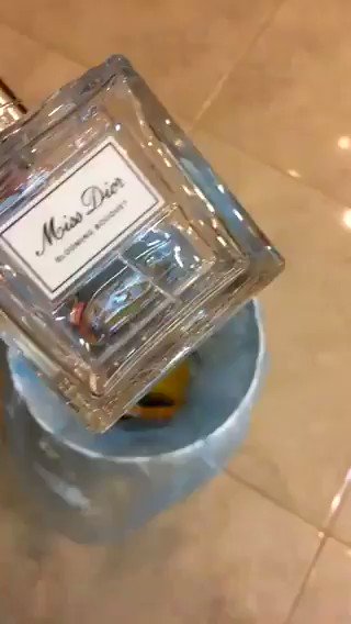 Embedded video
