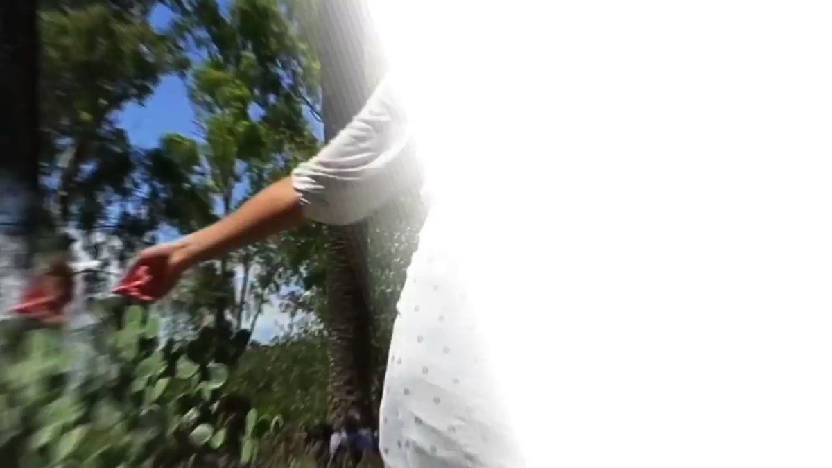 #VIDEO : Visitez St-Paul de Vence grĂące Ă notre Pass, la #CotedazurCard et sa formule #Culture ! Sont inclus :
⥠Entrée à la Fondation #Maeght
⥠Entrée à la Chapelle #Folon et au Musée d'Histoire Locale
⥠Visite guidée à la lanterne
https://www.cotedazur-card.comÂ
@otstpauldevence