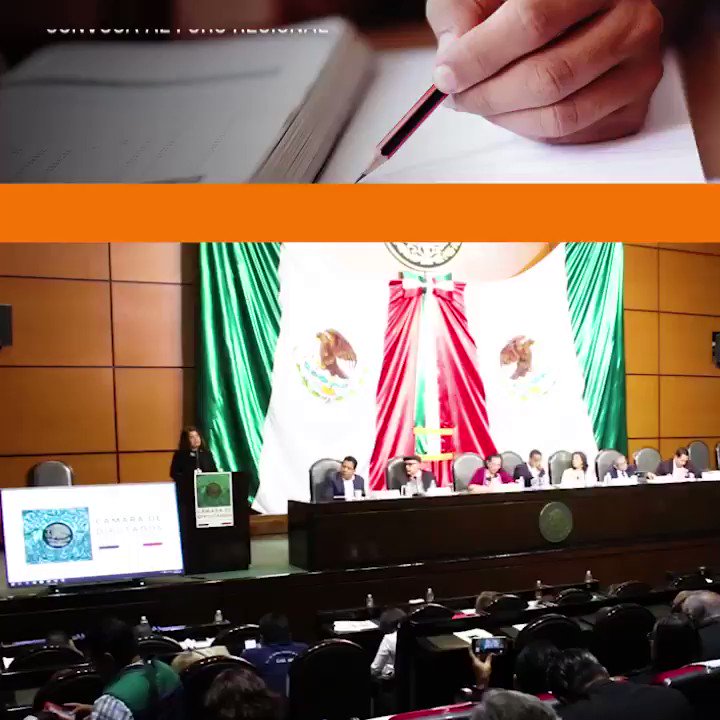 @SnteNacional's photo on #BuenMartes