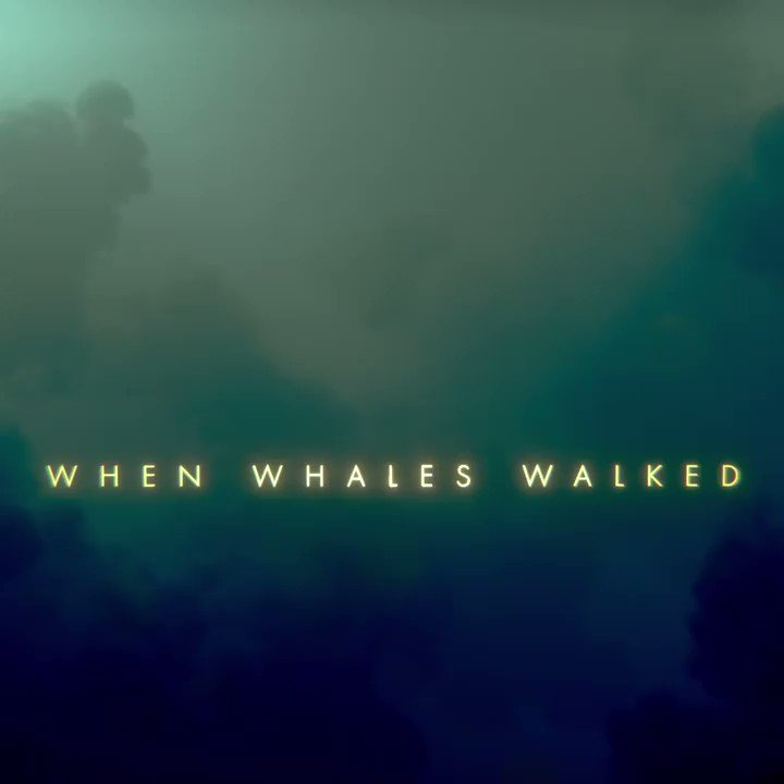 Join top scientists as they follow clues from the fossil record and make new discoveries about four of the world's iconic creatures. #WhenWhalesWalked premieres tonight at 9/8c.