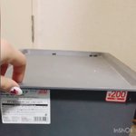 開けるたびにチンチラがひょっこり顔を出す!・おもちゃみたいな光景!