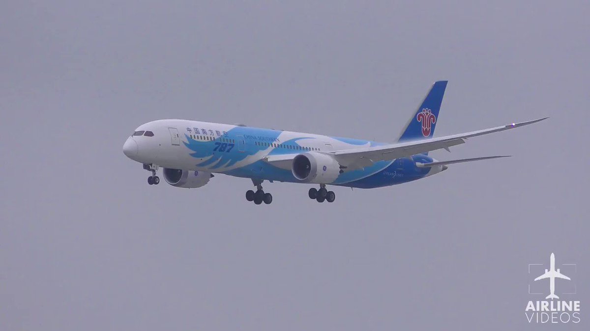 #ChinaSouthernAirlines #Boeing787 flight CZ621 from #Guangzhou lands on runway 24R at #LAX on June 16th, 2019. #Boeing 787-9 #Dreamliner Reg: B-209D #planespotting #planespotter #avgeek #aviation #aviationdaily #aviationlovers #airplanes #b787 @CSAIR_GLOBAL @flyLAXairport