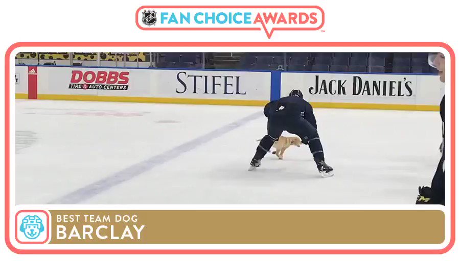 Stanley Pup Champion AND Best Team Dog πΆ What a week for Barclay! #NHLFanChoice